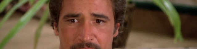 Lee Horsley as Matt Houston